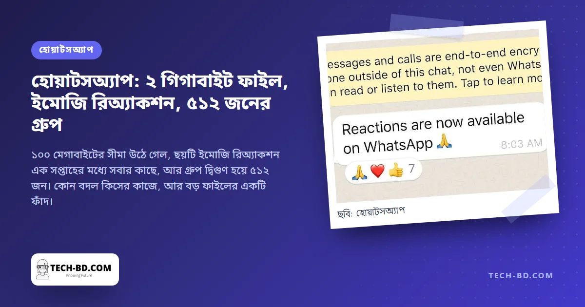 হোয়াটসঅ্যাপে এখন ২ গিগাবাইটের ফাইল, ইমোজি রিঅ্যাকশন আর ৫১২ জনের গ্রুপ