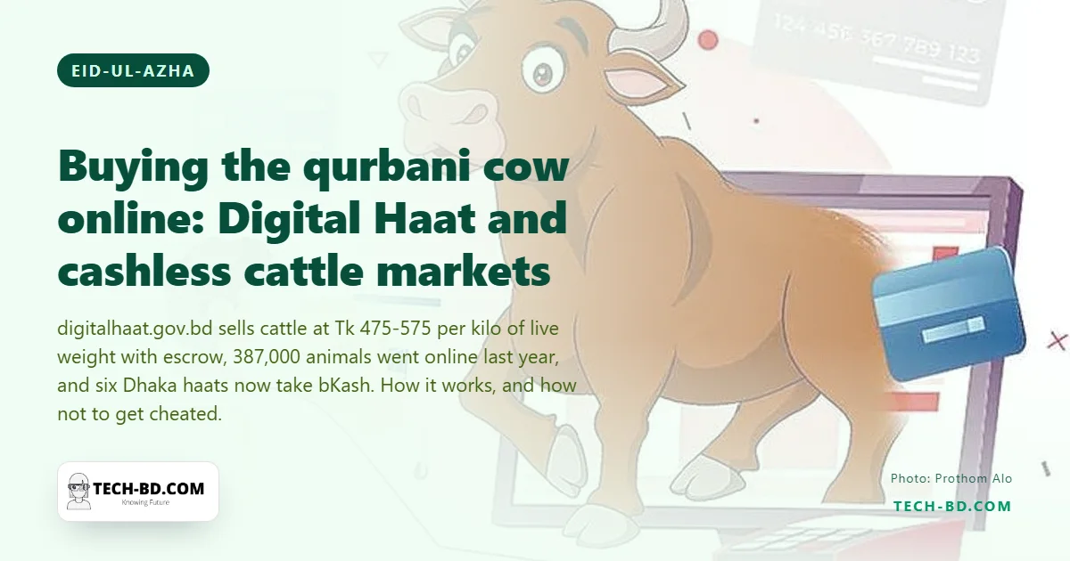Buying the qurbani cow online: the government's Digital Haat, priced by the kilo, and the cashless cattle markets