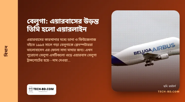 যে তিমি ওড়ে: চলতি সবচেয়ে অদ্ভুত দেখতে বিমান এয়ারবাসের বেলুগা কেন এখন নিজেই একটি এয়ারলাইন