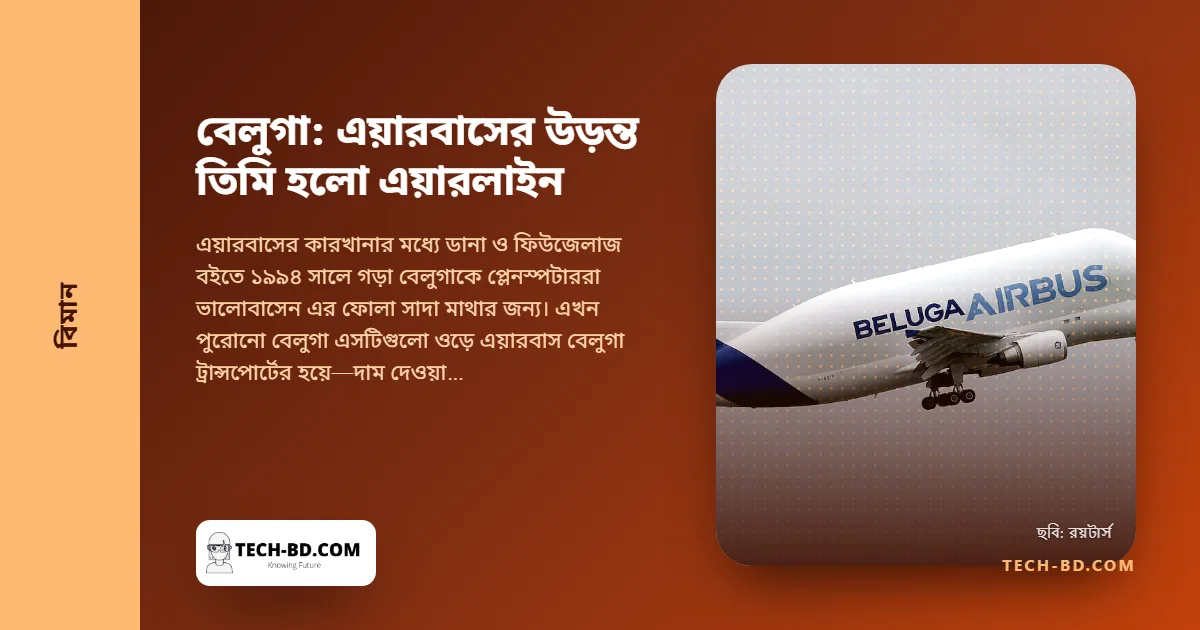 যে তিমি ওড়ে: চলতি সবচেয়ে অদ্ভুত দেখতে বিমান এয়ারবাসের বেলুগা কেন এখন নিজেই একটি এয়ারলাইন