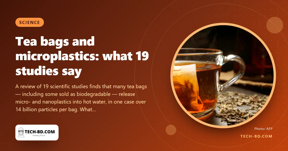 Your tea bag may be shedding billions of plastic particles into the cup — what 19 studies found