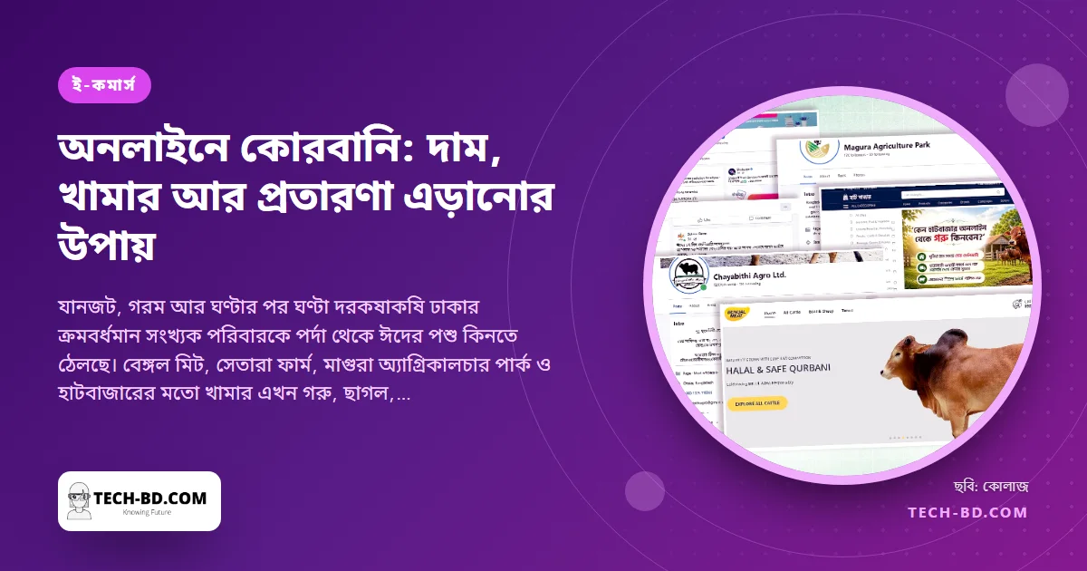 অনলাইনে কোরবানির গরু: ২০২৬-এ ডিজিটাল হাট যেভাবে চলছে, আর যে সাবধানতা আপনাকে বাঁচাবে