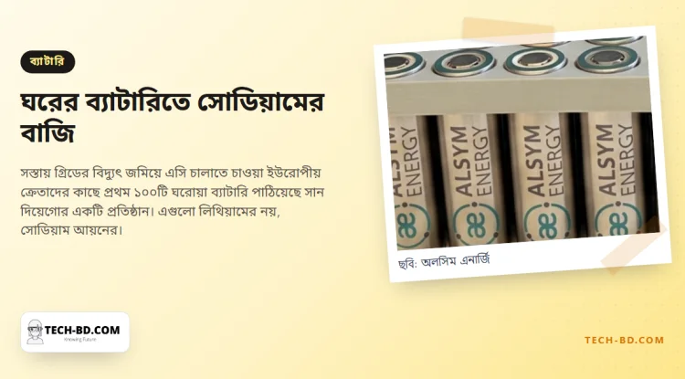 ইউরোপের তাপপ্রবাহে বিক্রি বেড়েছে মার্কিন ব্যাটারির—আর সেগুলো লিথিয়ামের নয়