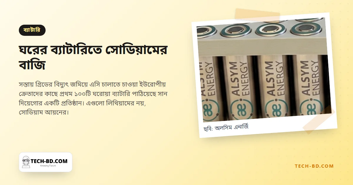 ইউরোপের তাপপ্রবাহে বিক্রি বেড়েছে মার্কিন ব্যাটারির—আর সেগুলো লিথিয়ামের নয়
