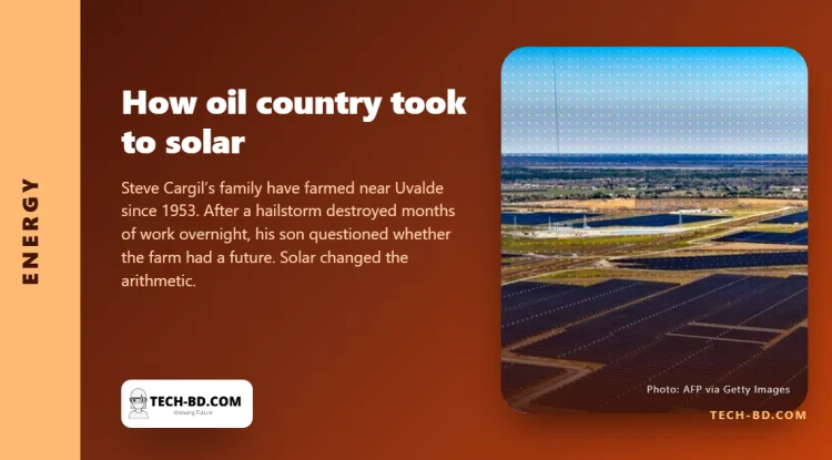 A Texas farmer lost a cabbage crop to hail in one night. His land now earns from the sun as well