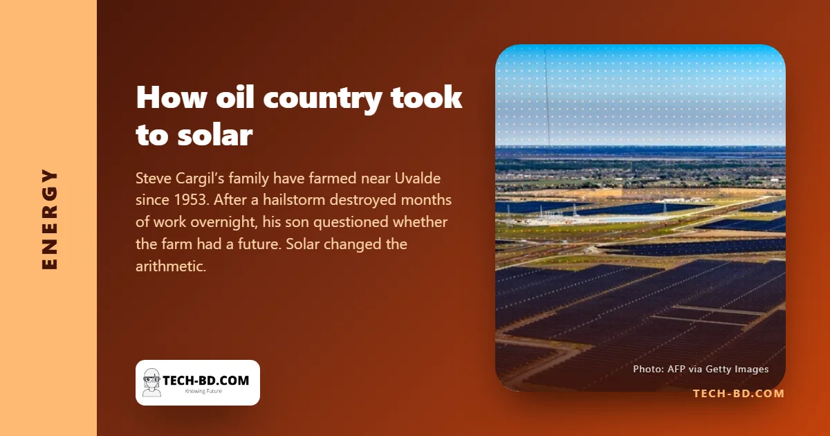 A Texas farmer lost a cabbage crop to hail in one night. His land now earns from the sun as well