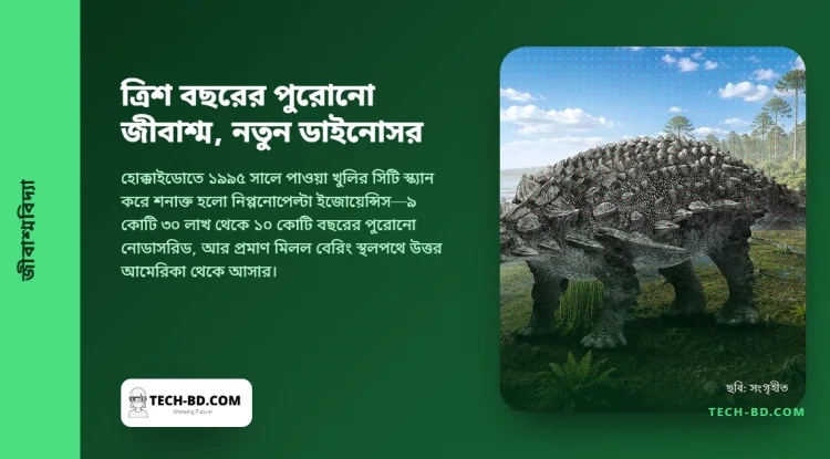 জাপানে ৩০ বছর আগে তোলা জীবাশ্মটি নতুন প্রজাতির বর্মযুক্ত ডাইনোসর, পূর্বপুরুষেরা এসেছিল আমেরিকা থেকে