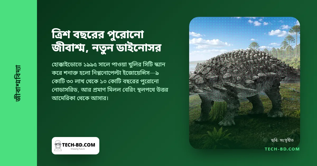 জাপানে ৩০ বছর আগে তোলা জীবাশ্মটি নতুন প্রজাতির বর্মযুক্ত ডাইনোসর, পূর্বপুরুষেরা এসেছিল আমেরিকা থেকে