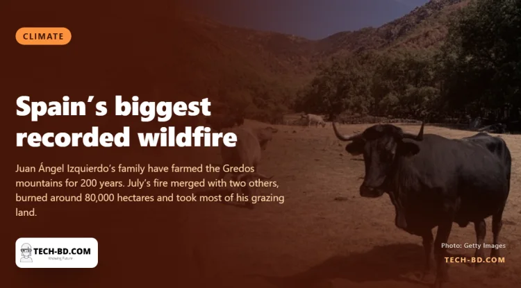 Spain’s biggest recorded wildfire burned 80,000 hectares. One farmer lost two-thirds of his land and 20 cows
