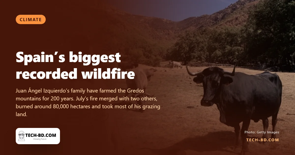 Spain’s biggest recorded wildfire burned 80,000 hectares. One farmer lost two-thirds of his land and 20 cows
