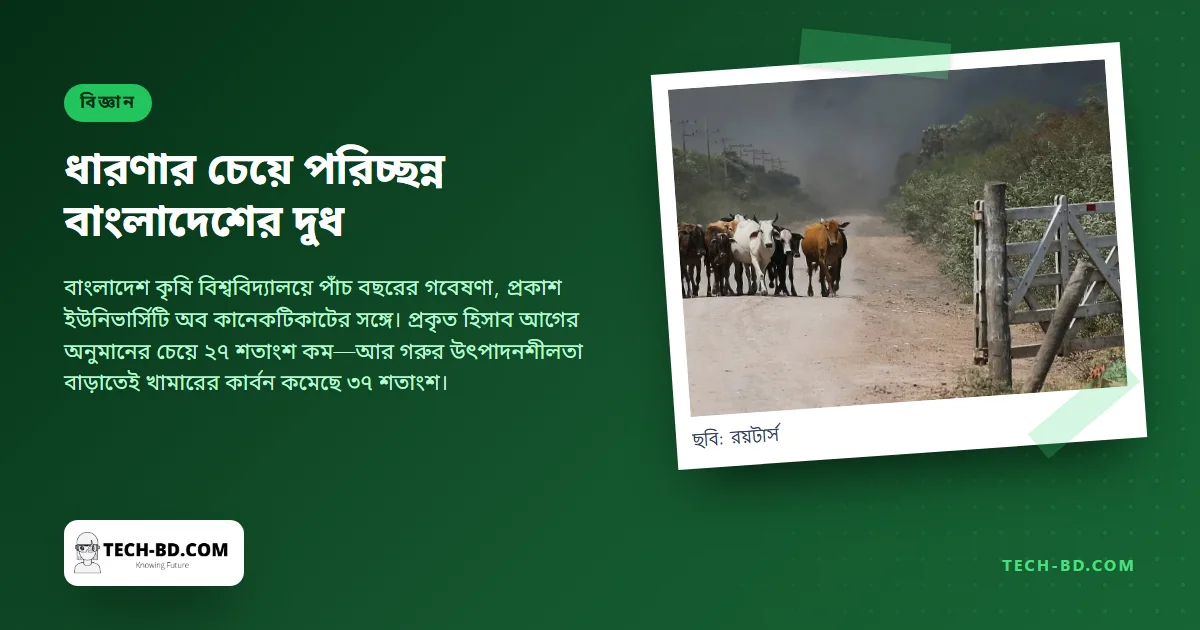 বাংলাদেশের দুধের কার্বন পদচিহ্ন ধারণার চেয়ে ২৭ শতাংশ কম, কারণটা যা ভাবছেন তা নয়