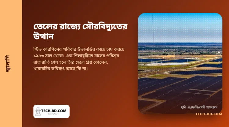 এক রাতের শিলাবৃষ্টিতে বাঁধাকপির ফসল হারান টেক্সাসের এক কৃষক। তাঁর জমি এখন সূর্য থেকেও আয় করে