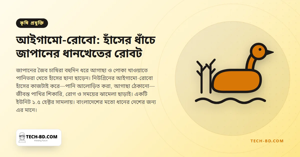 হাঁসের জায়গা নিল যে রোবট: ৬ কেজির একটি যন্ত্র যেভাবে জাপানের জৈব ধানখেতের আগাছা সামলায়