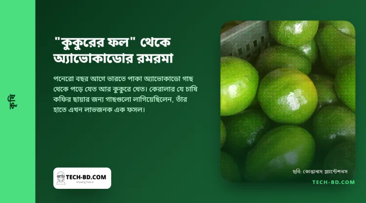 ভারতে একে বলা হতো "কুকুরের ফল"। এরপর এক বলিউড তারকা নাম নিলেন, আর রাতারাতি দাম দ্বিগুণ