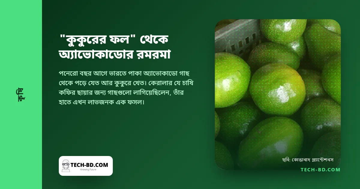 ভারতে একে বলা হতো "কুকুরের ফল"। এরপর এক বলিউড তারকা নাম নিলেন, আর রাতারাতি দাম দ্বিগুণ