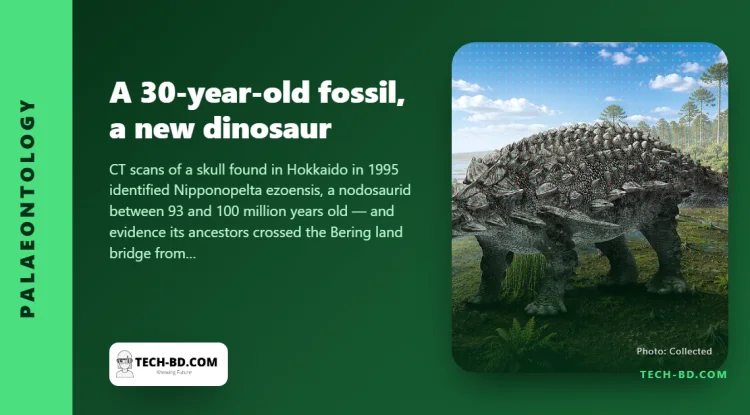 A fossil dug up in Japan 30 years ago turns out to be a new armoured dinosaur that walked from America