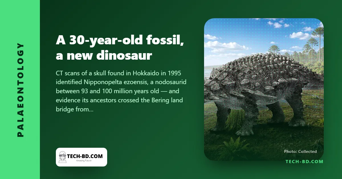 A fossil dug up in Japan 30 years ago turns out to be a new armoured dinosaur that walked from America