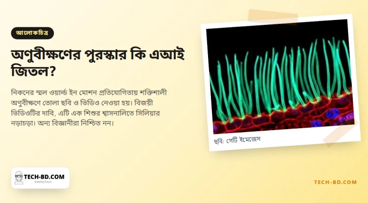 এআই দিয়ে বানানো—বিজ্ঞানীদের অভিযোগের পর অণুবীক্ষণের বিজয়ী ভিডিওটি আবার যাচাই হচ্ছে