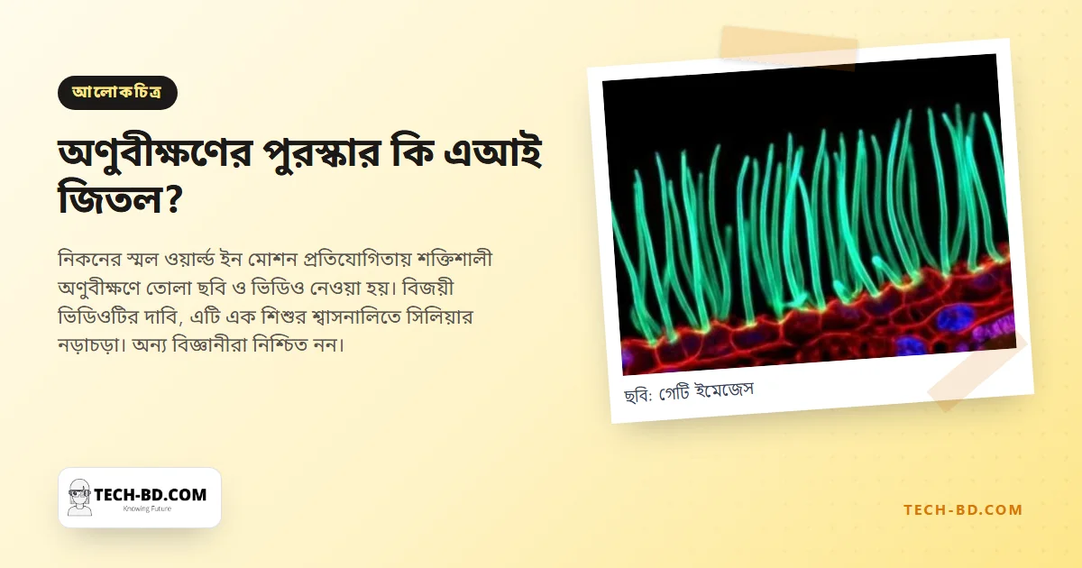 এআই দিয়ে বানানো—বিজ্ঞানীদের অভিযোগের পর অণুবীক্ষণের বিজয়ী ভিডিওটি আবার যাচাই হচ্ছে