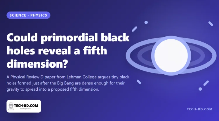 Physicists say the smallest black holes could leak gravity into a fifth dimension, which would make them the only instrument we have for detecting one