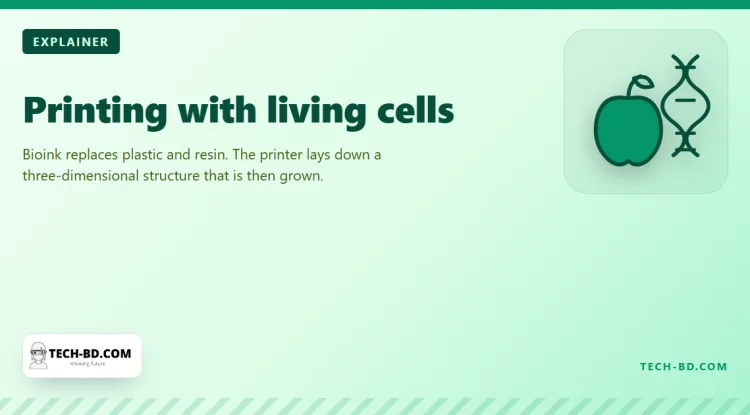 3D bioprinting explained: the ink is living cells, and the printer builds tissue a layer at a time