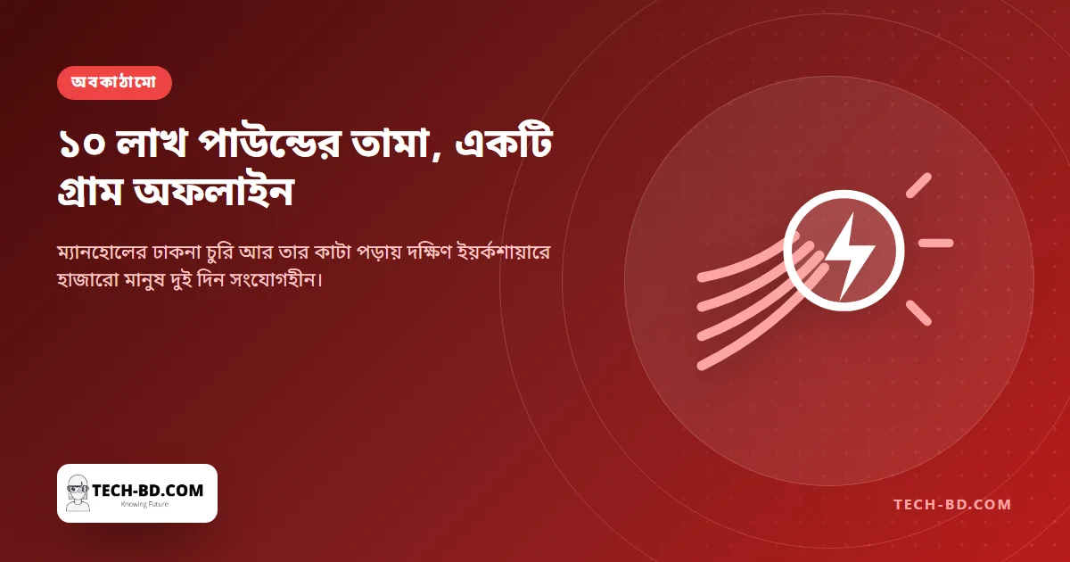 তামা নিয়ে গেল চোরেরা, দুই দিন ব্রডব্যান্ড আর টেলিফোনহীন থাকল একটি গ্রাম