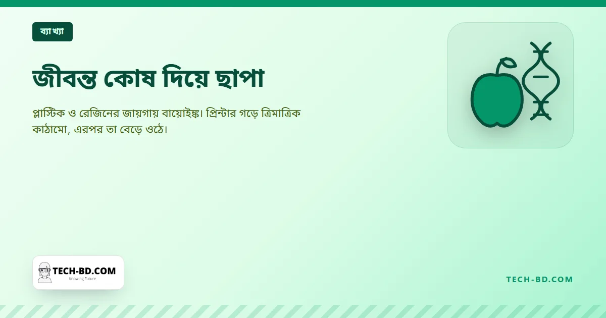 থ্রিডি বায়োপ্রিন্টিং কী: কালির জায়গায় জীবন্ত কোষ, আর প্রিন্টার গড়ে স্তরে স্তরে টিস্যু