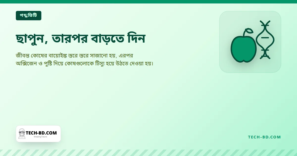 ছাপুন, তারপর বাড়তে দিন
