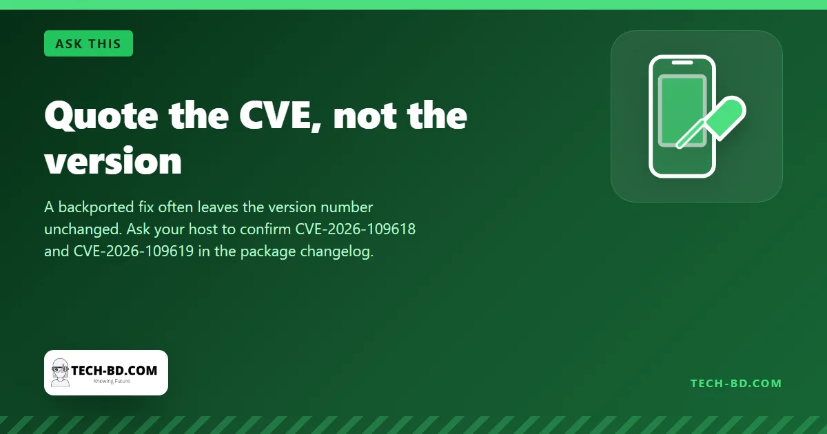 Quote the CVE, not the version