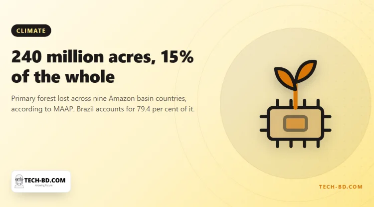 The Amazon has lost 240 million acres of primary forest — the size of Texas and California together