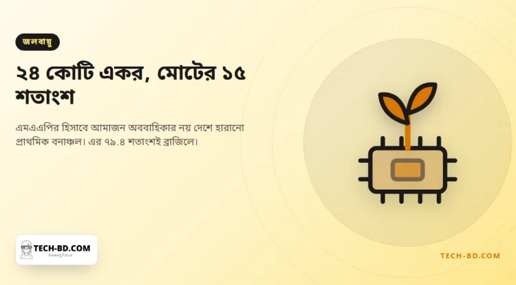 আমাজনের ২৪ কোটি একর প্রাথমিক বনাঞ্চল উধাও—টেক্সাস ও ক্যালিফোর্নিয়ার সমান এলাকা
