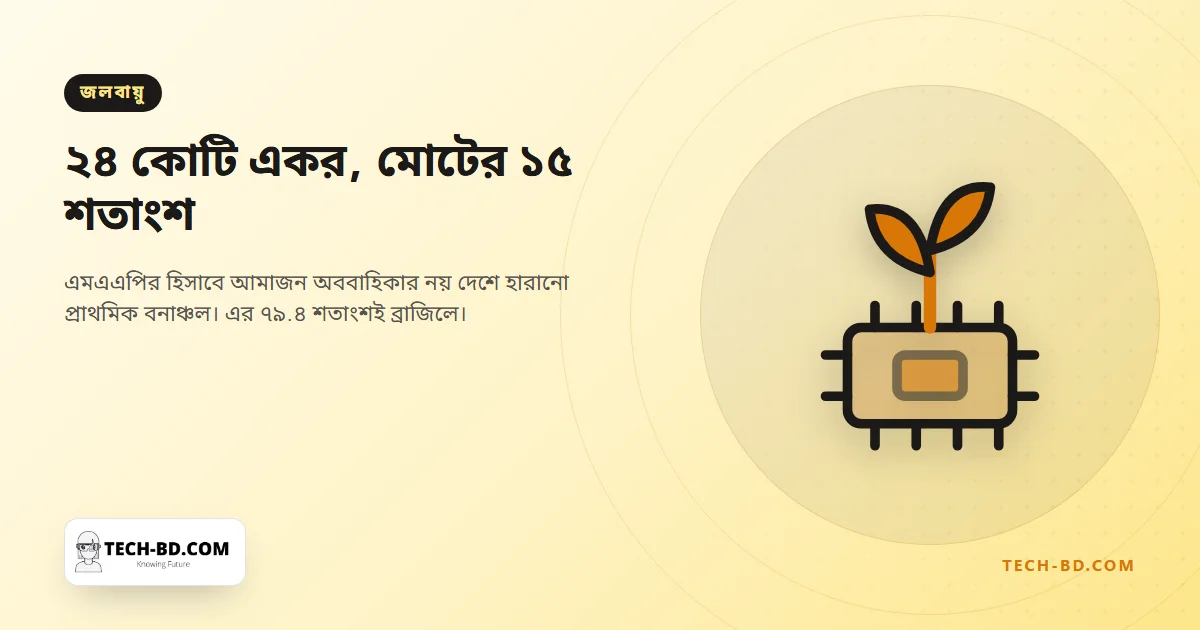 আমাজনের ২৪ কোটি একর প্রাথমিক বনাঞ্চল উধাও—টেক্সাস ও ক্যালিফোর্নিয়ার সমান এলাকা
