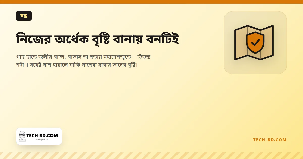নিজের অর্ধেক বৃষ্টি বানায় বনটিই