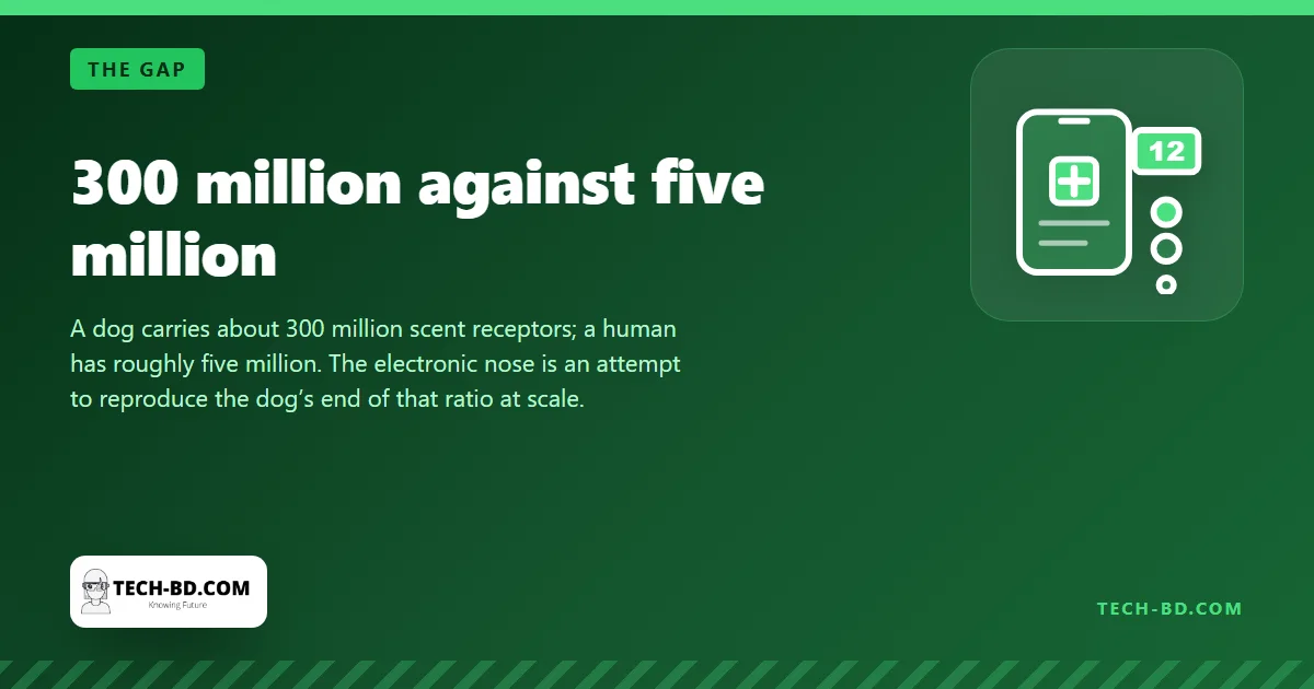 300 million against five million
